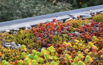 the cost of Croglin green roof installation