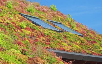 Croglin living roof systems