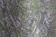 Croglin fibreglass roof work